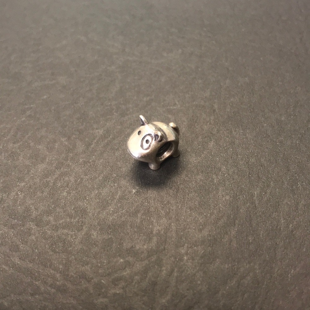 Pandora Charm